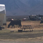 Review photo of Browns Owens River Campground by James , November 9, 2020