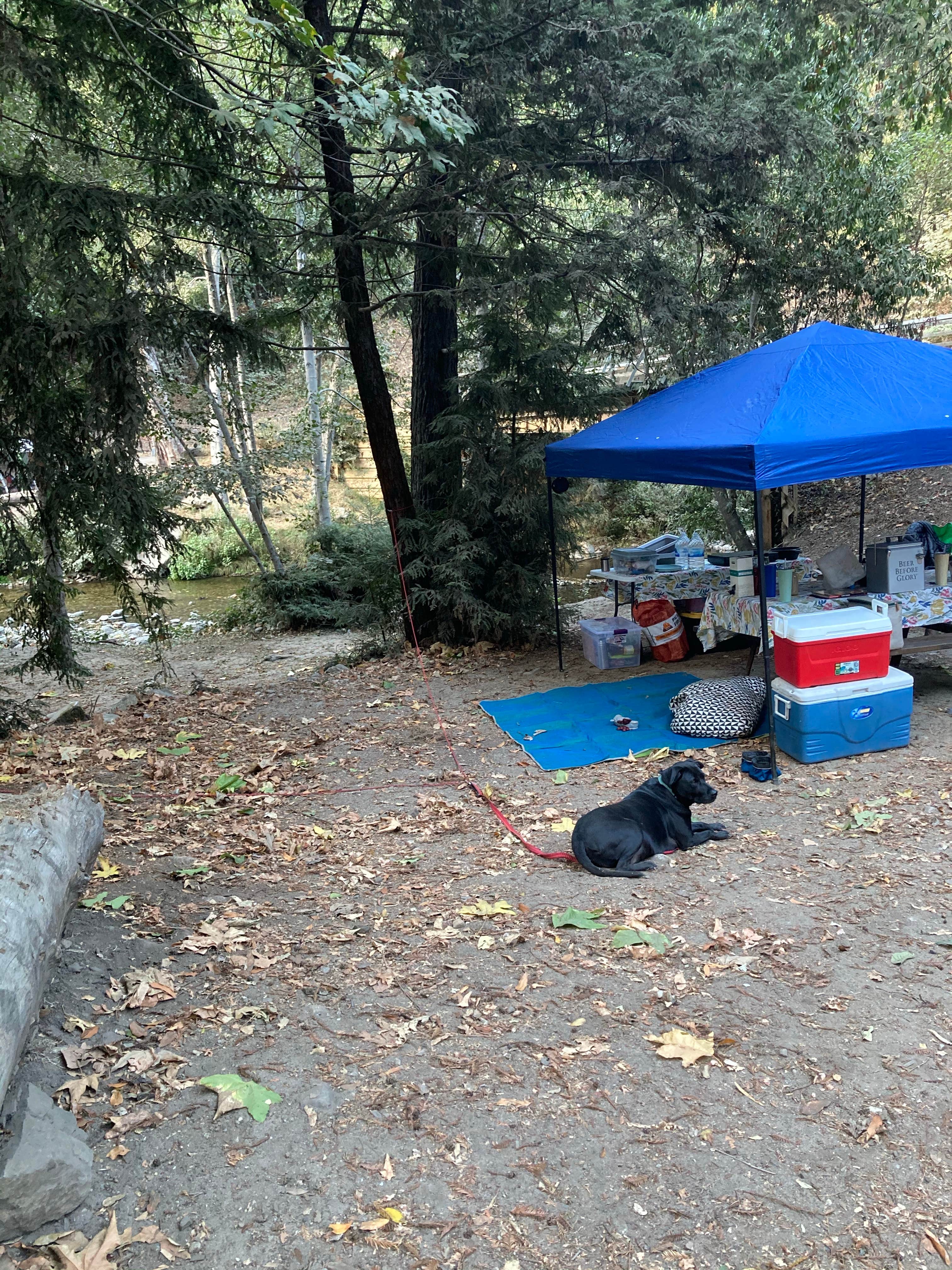 Christina L.'s photo at Fernwood Campground & Resort near Carmel Valley Village, CA