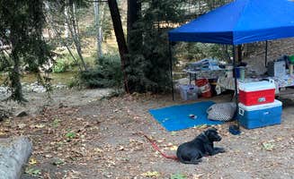 Christina L.'s photo at Fernwood Campground & Resort near Pebble Beach, CA