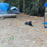 Review photo of Fernwood Campground & Resort by Christina L., November 9, 2020