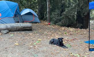 Christina L.'s photo of camping with pets at Fernwood Campground & Resort near Lucia, CA