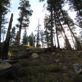 Review photo of Boise National Forest Warm Lake Campground by Ed E., May 23, 2018