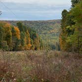 Review photo of Manor - Cunningham Falls State Park by Laure D., November 9, 2020