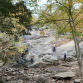 Review photo of Manor - Cunningham Falls State Park by Laure D., November 9, 2020