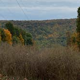 Review photo of Manor - Cunningham Falls State Park by Laure D., November 9, 2020