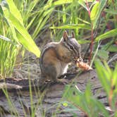 Review photo of Boise National Forest Warm Lake Campground by Ed E., May 23, 2018