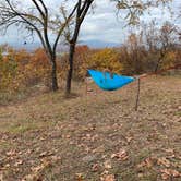 Review photo of Heavener Runestone Park by Joel H., November 9, 2020