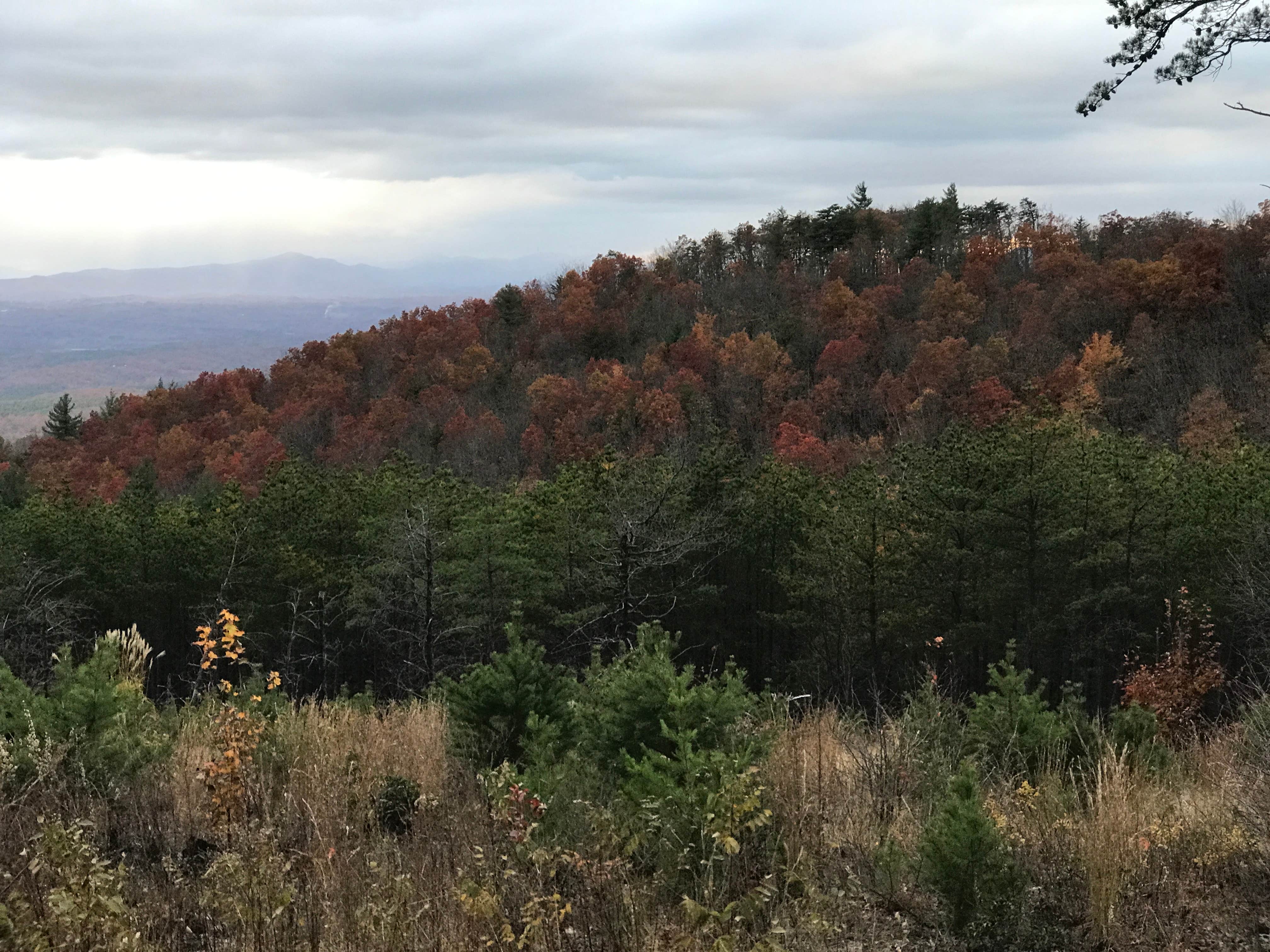 Camper-submitted photo at Old NC 105 - Dispersed Camping near Connelly Springs, NC