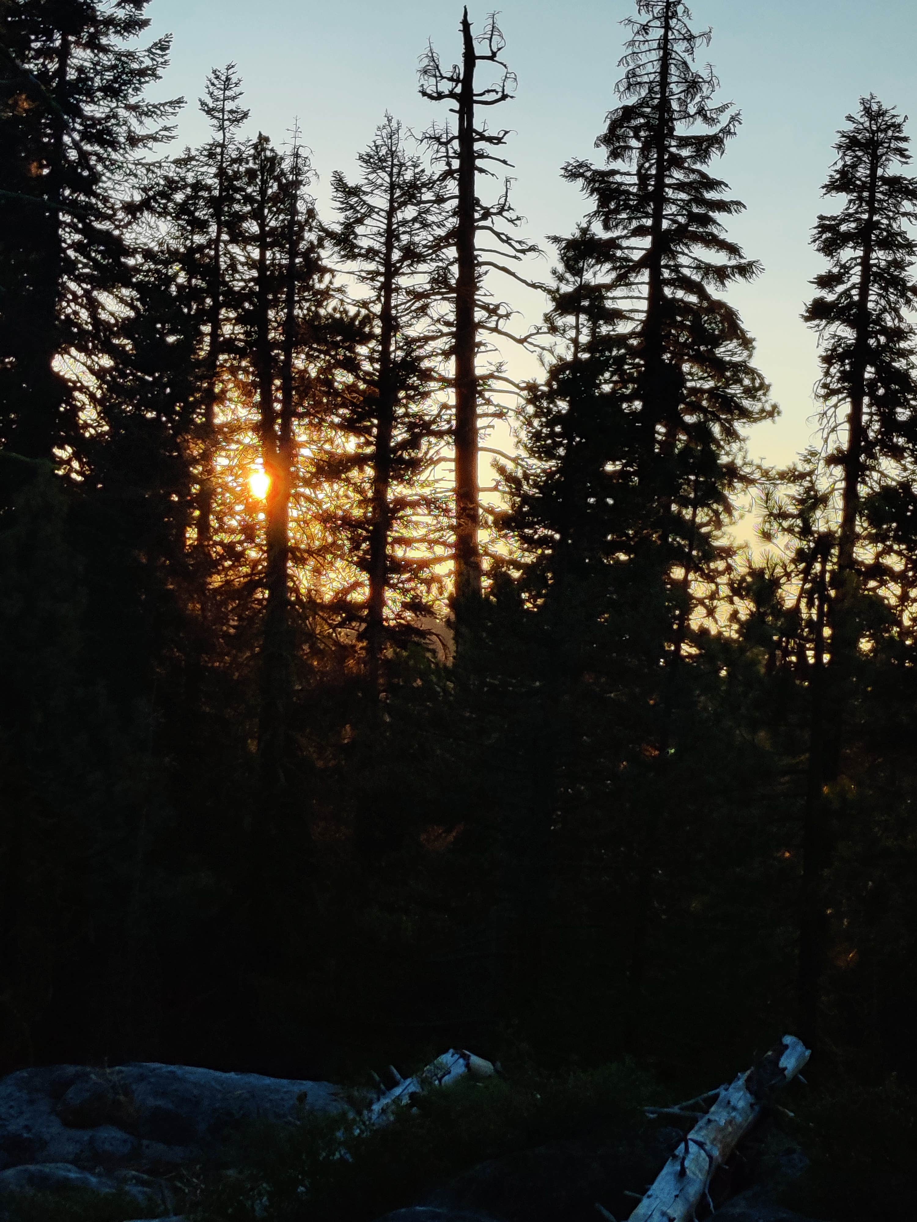 Campsites