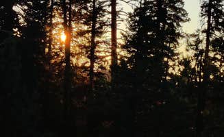 erin O.'s photo at Eagle Meadow Horse Camp near Stanislaus National Forest