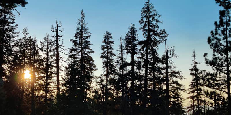 Camper submitted image from Eagle Meadow Horse Camp