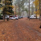 Review photo of Trap Pond State Park Campground by Laure D., November 10, 2020