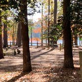 Review photo of Trap Pond State Park Campground by Laure D., November 10, 2020