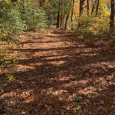 Review photo of Trap Pond State Park Campground by Laure D., November 10, 2020