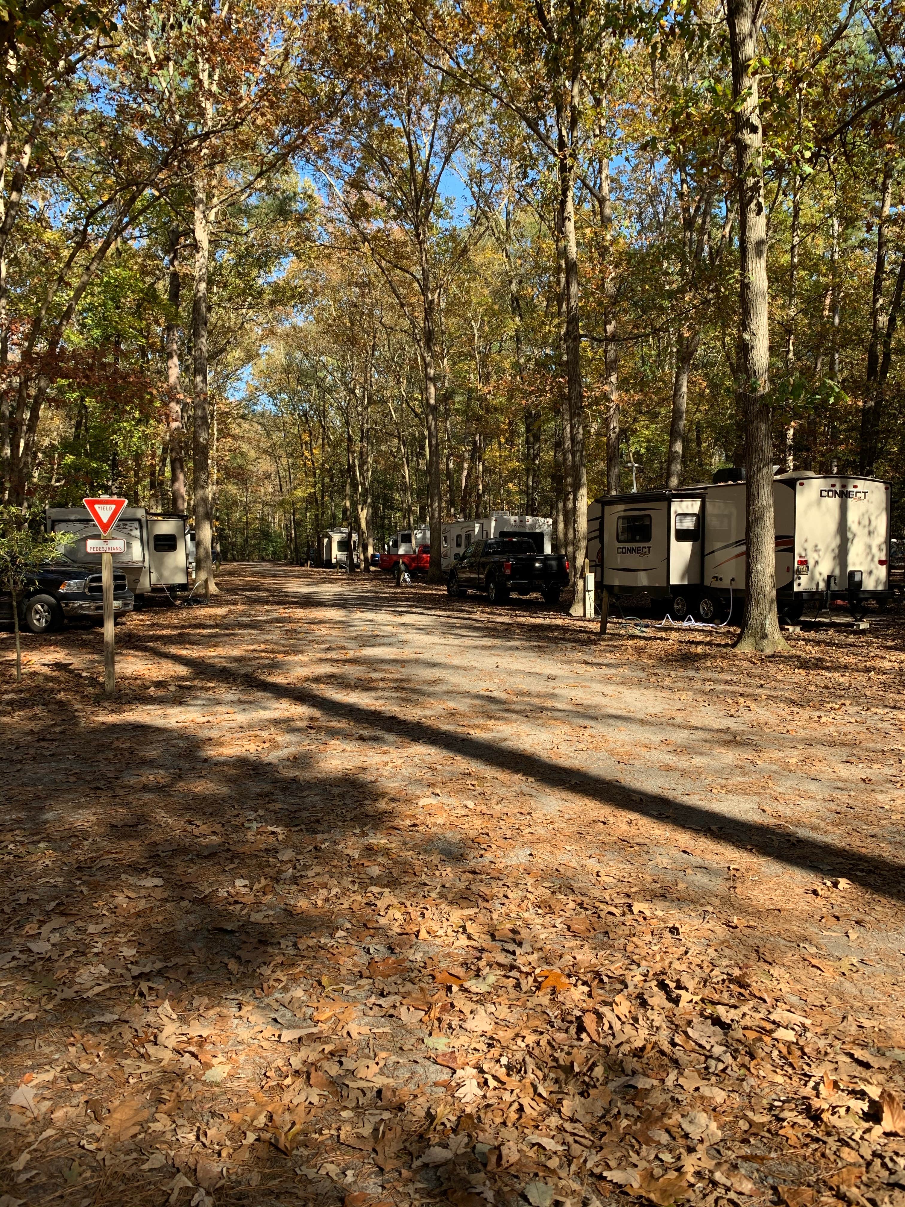 Laure D.'s photo at Trap Pond State Park Campground near Georgetown, DE