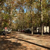 Review photo of Trap Pond State Park Campground by Laure D., November 10, 2020