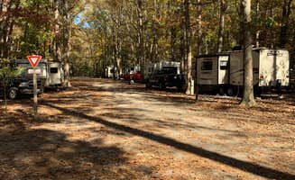 Laure D.'s photo at Trap Pond State Park Campground near Seaford, DE
