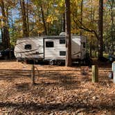 Review photo of Trap Pond State Park Campground by Laure D., November 10, 2020