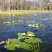 Review photo of Boise National Forest Warm Lake Campground by Ed E., May 23, 2018