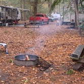 Review photo of Trap Pond State Park Campground by Laure D., November 10, 2020