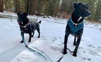 Mandy's photo of camping with pets at LaPine State Park Campground near Fort Rock, OR