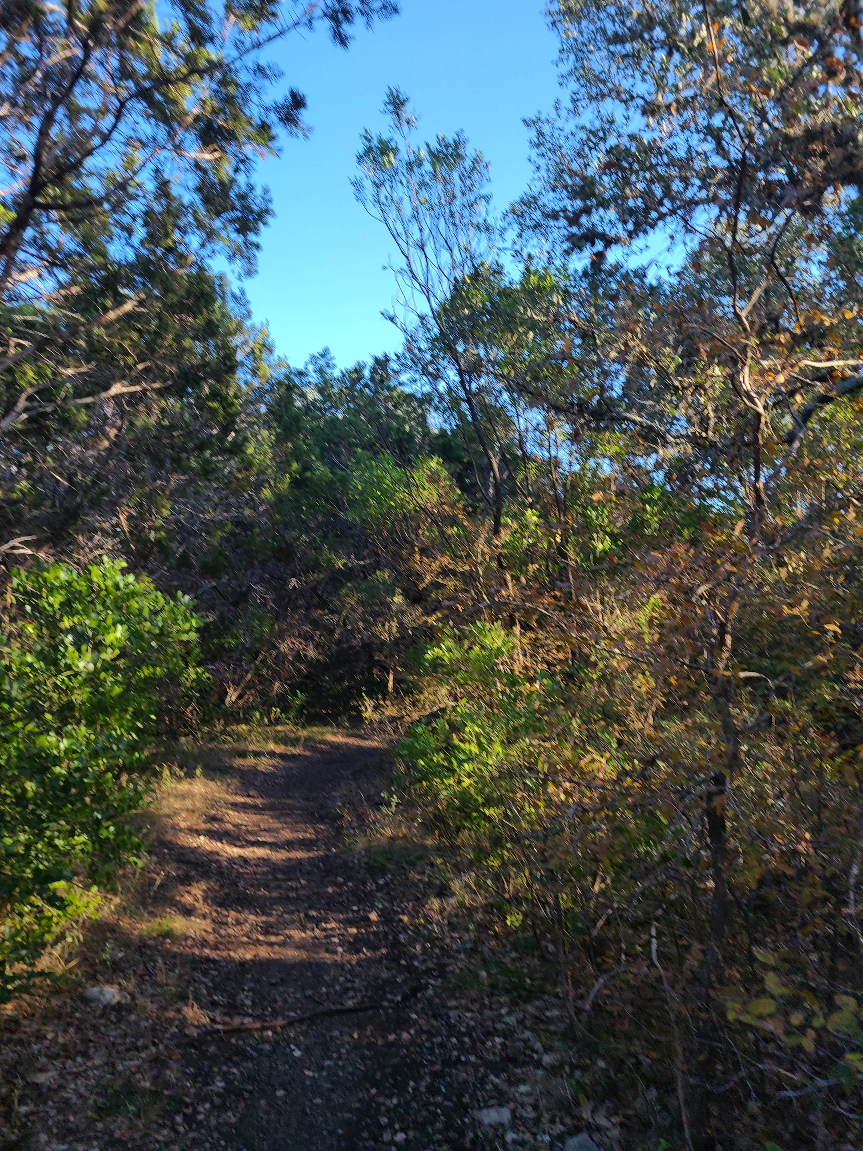 Camper-submitted photo at Government Canyon State Natural Area near Castroville, TX