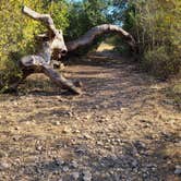 Review photo of Government Canyon State Natural Area by Dani D., November 10, 2020