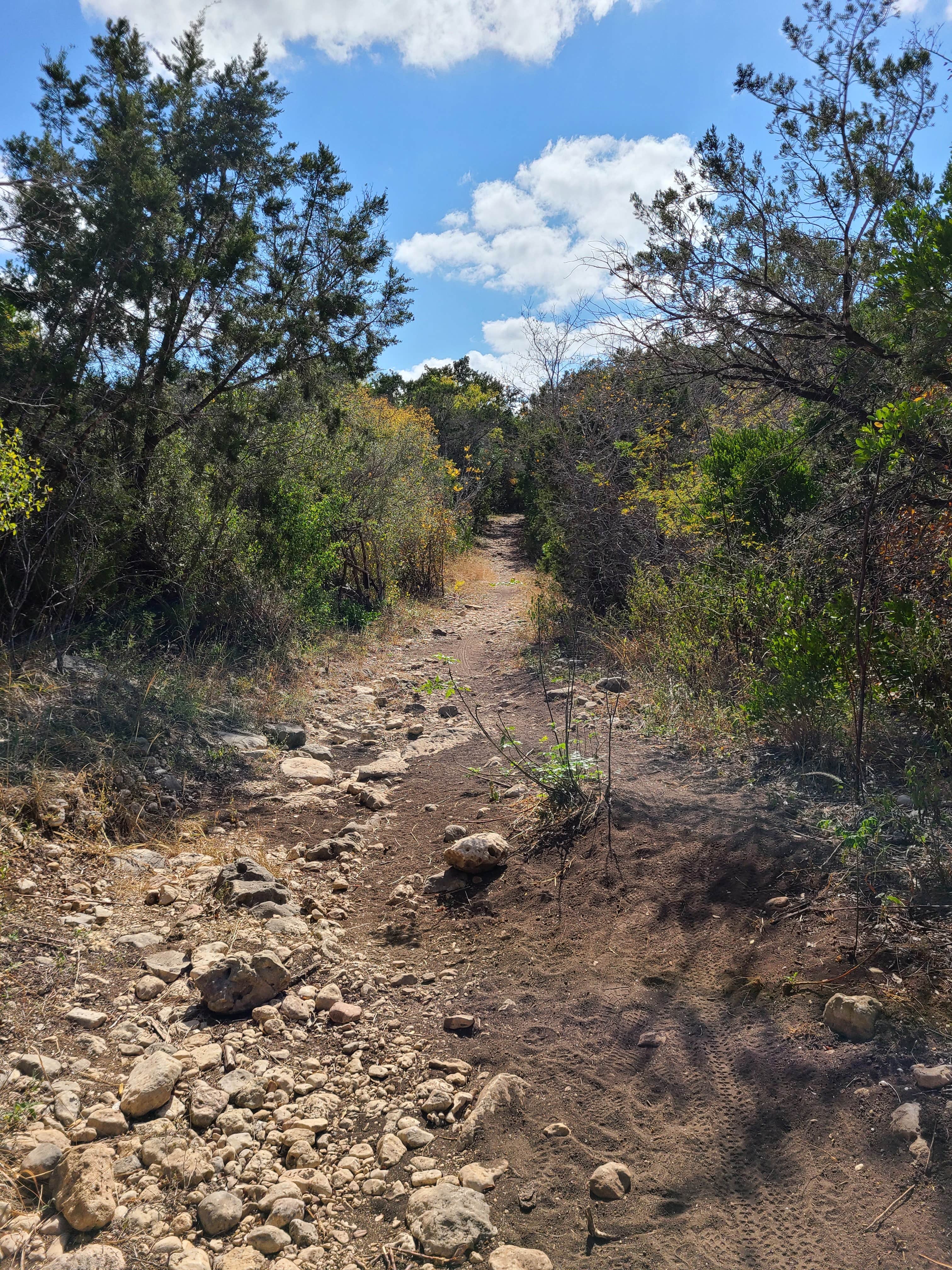 Camper-submitted photo at Government Canyon State Natural Area near Elmendorf, TX