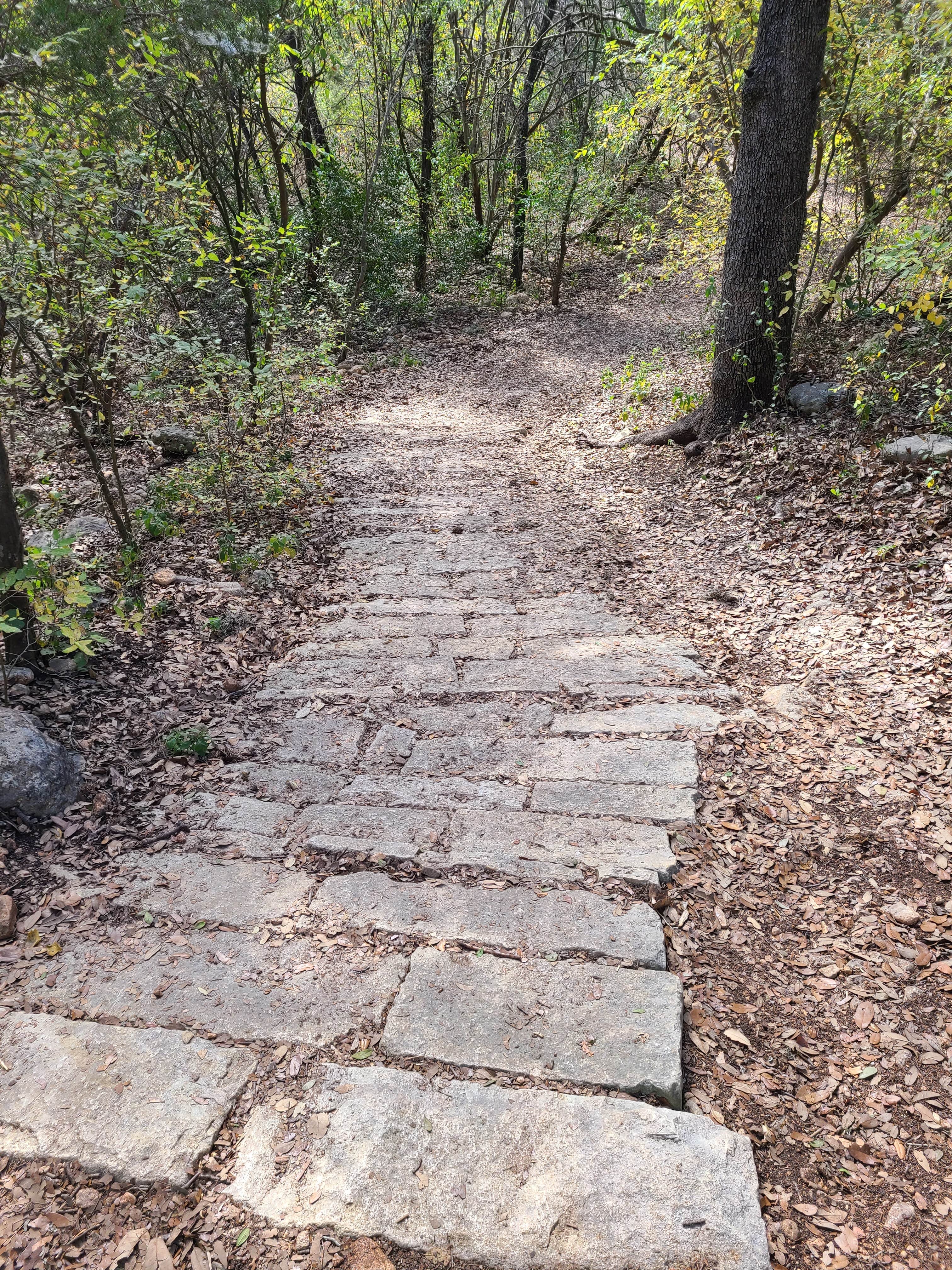 Camper-submitted photo at Government Canyon State Natural Area near Elmendorf, TX