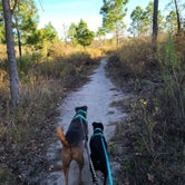 Review photo of Bastrop State Park Campground by Dani D., November 10, 2020