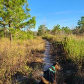 Review photo of Bastrop State Park Campground by Dani D., November 10, 2020