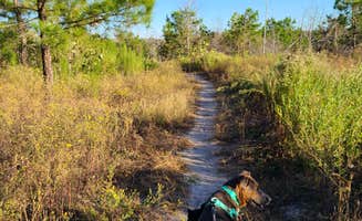 Dani D.'s photo of camping with pets at Bastrop State Park Campground near Schulenburg, TX