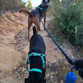 Review photo of Bastrop State Park Campground by Dani D., November 10, 2020