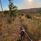 Review photo of Bastrop State Park Campground by Dani D., November 10, 2020