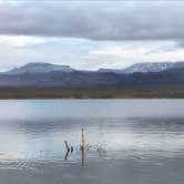 Review photo of Roosevelt Lake - Schoolhouse Campground by sur.la.route , November 10, 2020