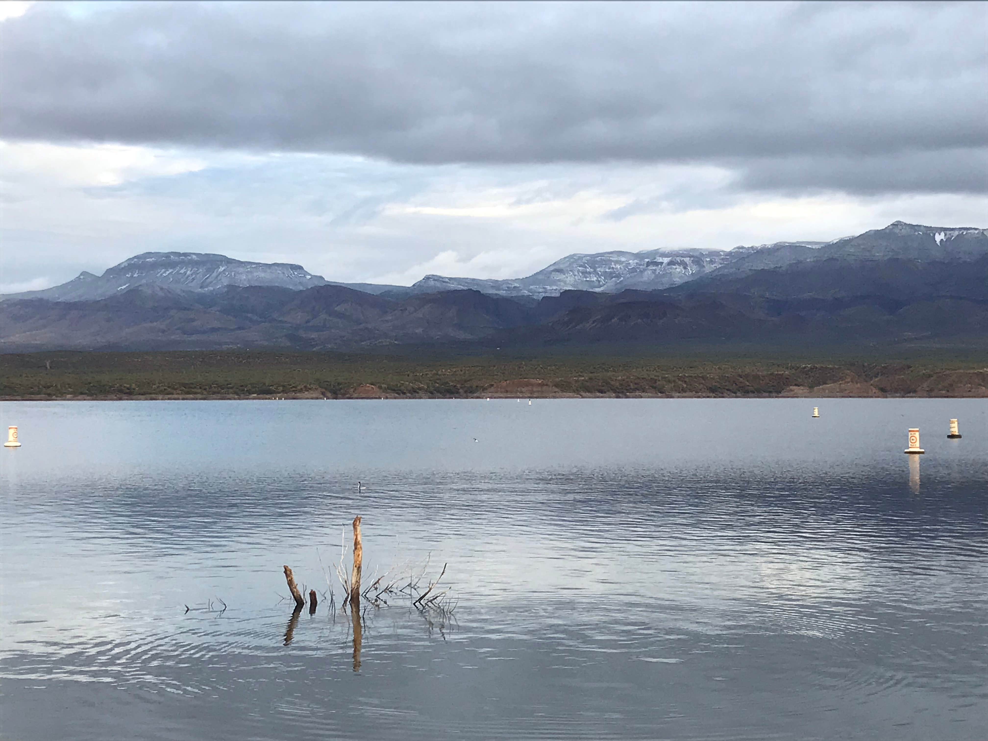 Camper submitted image from Roosevelt Lake - Schoolhouse Campground - 3