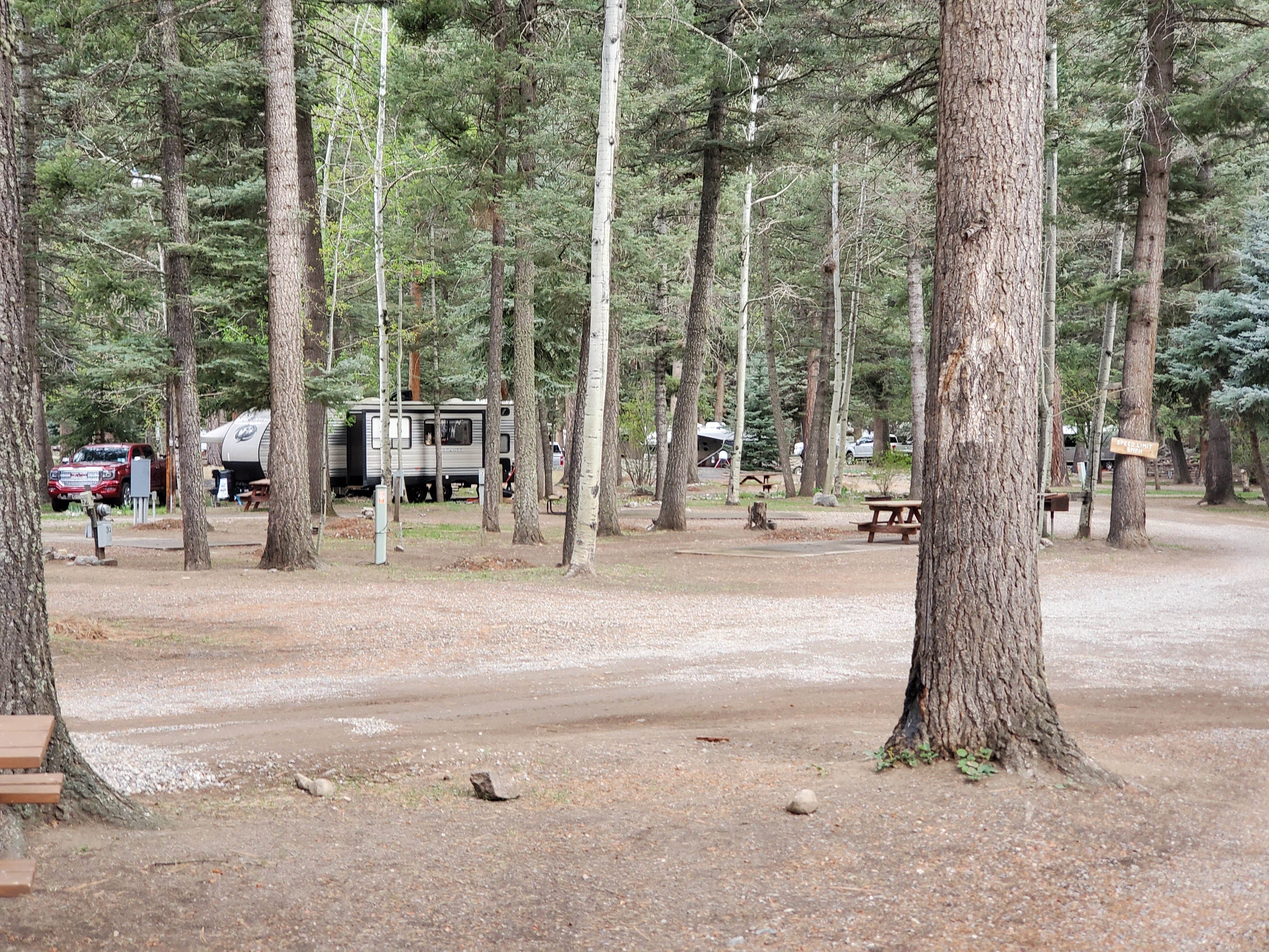Camper submitted image from Blue Spruce RV Park & Cabins - 3