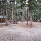 Review photo of Blue Spruce RV Park & Cabins by Chris K., November 10, 2020