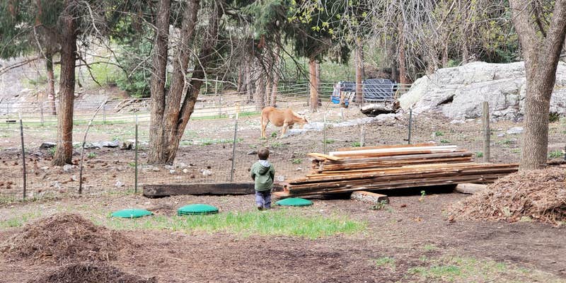 Camper submitted image from Blue Spruce RV Park & Cabins