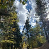 Review photo of Barton Flats Family Campground by Shannon L., November 10, 2020