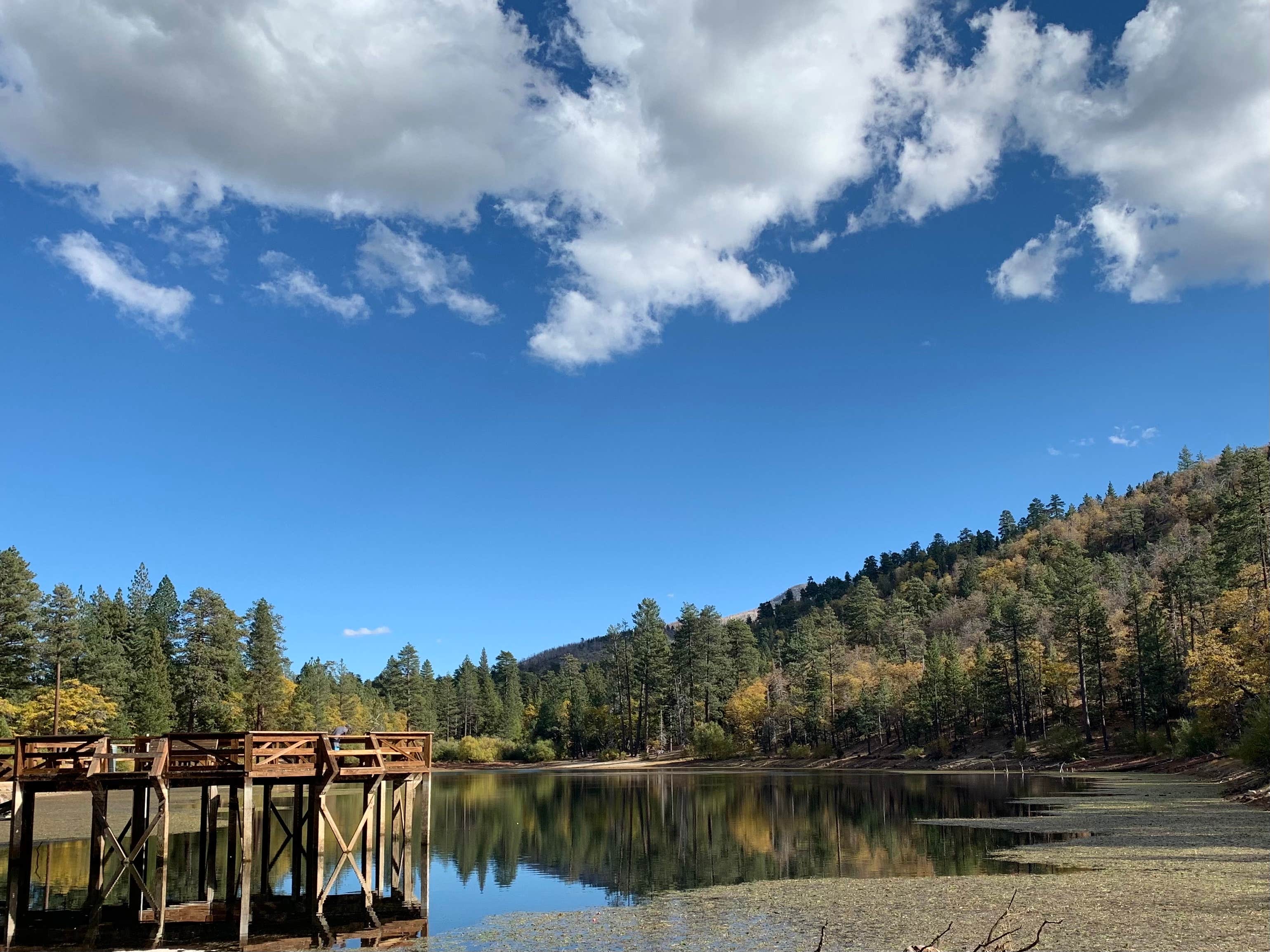 Camper-submitted photo at Barton Flats Family Campground near Calimesa, CA