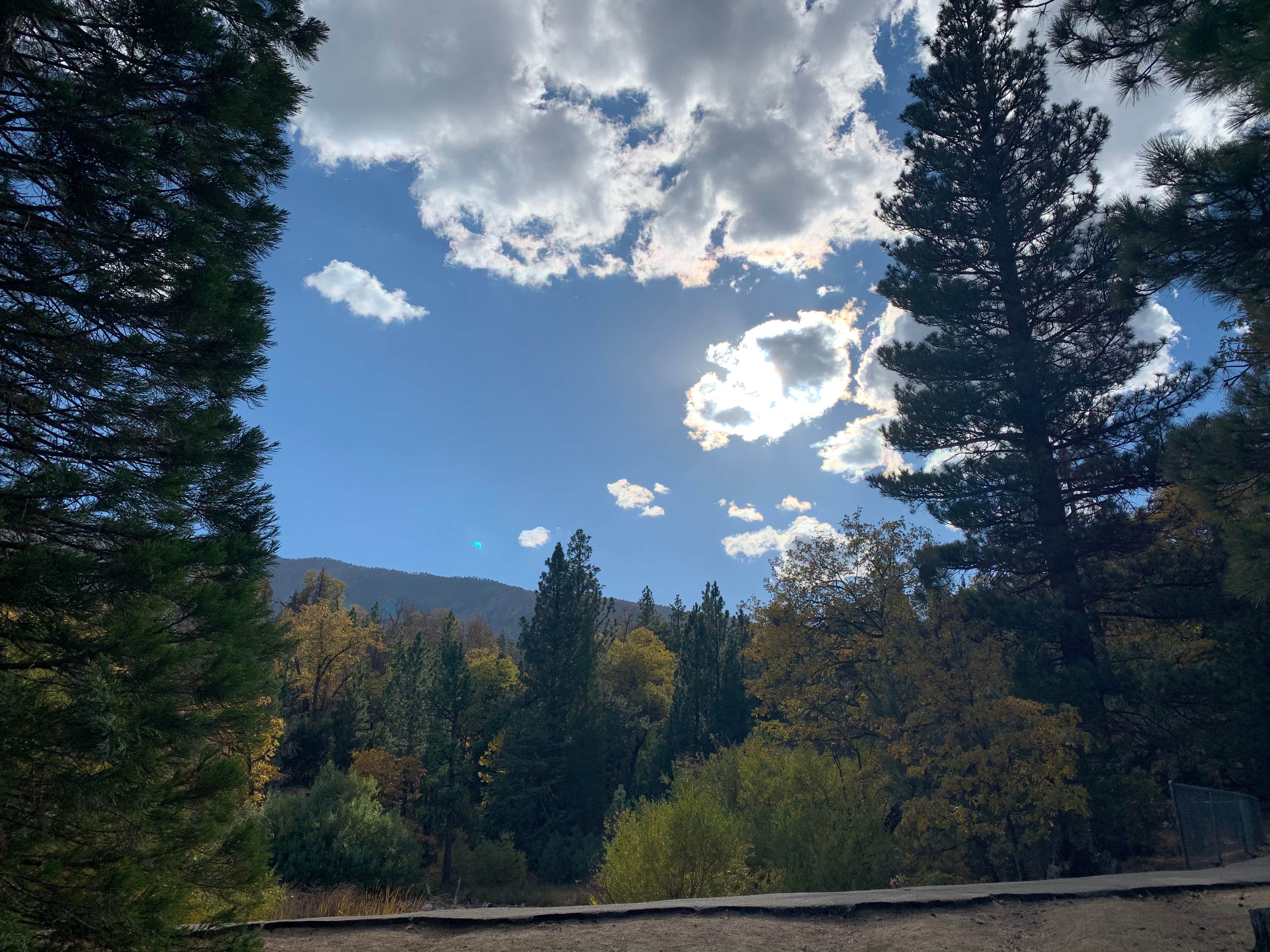 Camper-submitted photo at Barton Flats Family Campground near Calimesa, CA