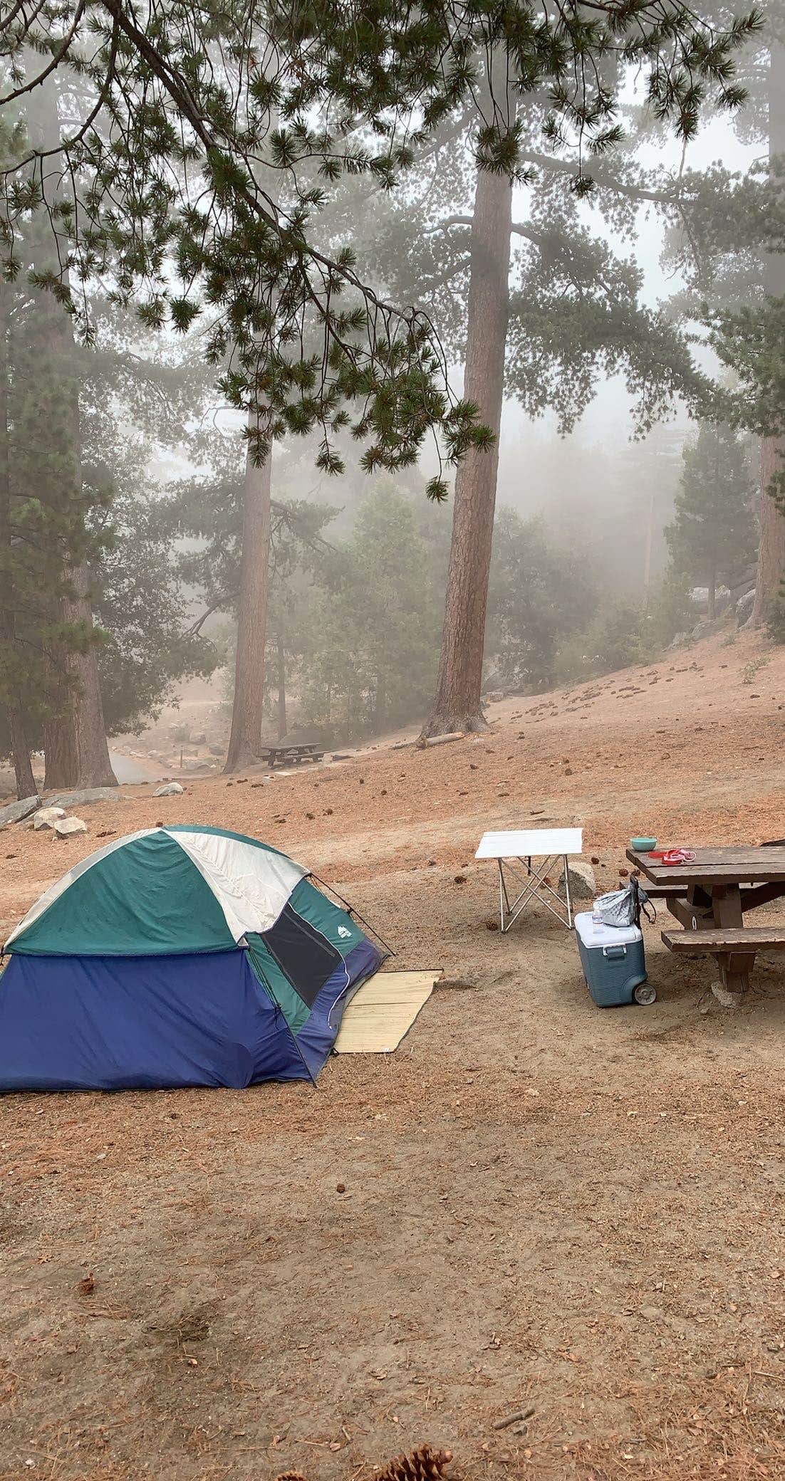 Shannon L.'s photo at Marion Mountain near Mountain Center, CA