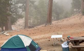 Shannon L.'s photo at Marion Mountain near Mountain Center, CA