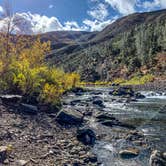 Review photo of Railroad Flat Campground by Meg R., November 10, 2020