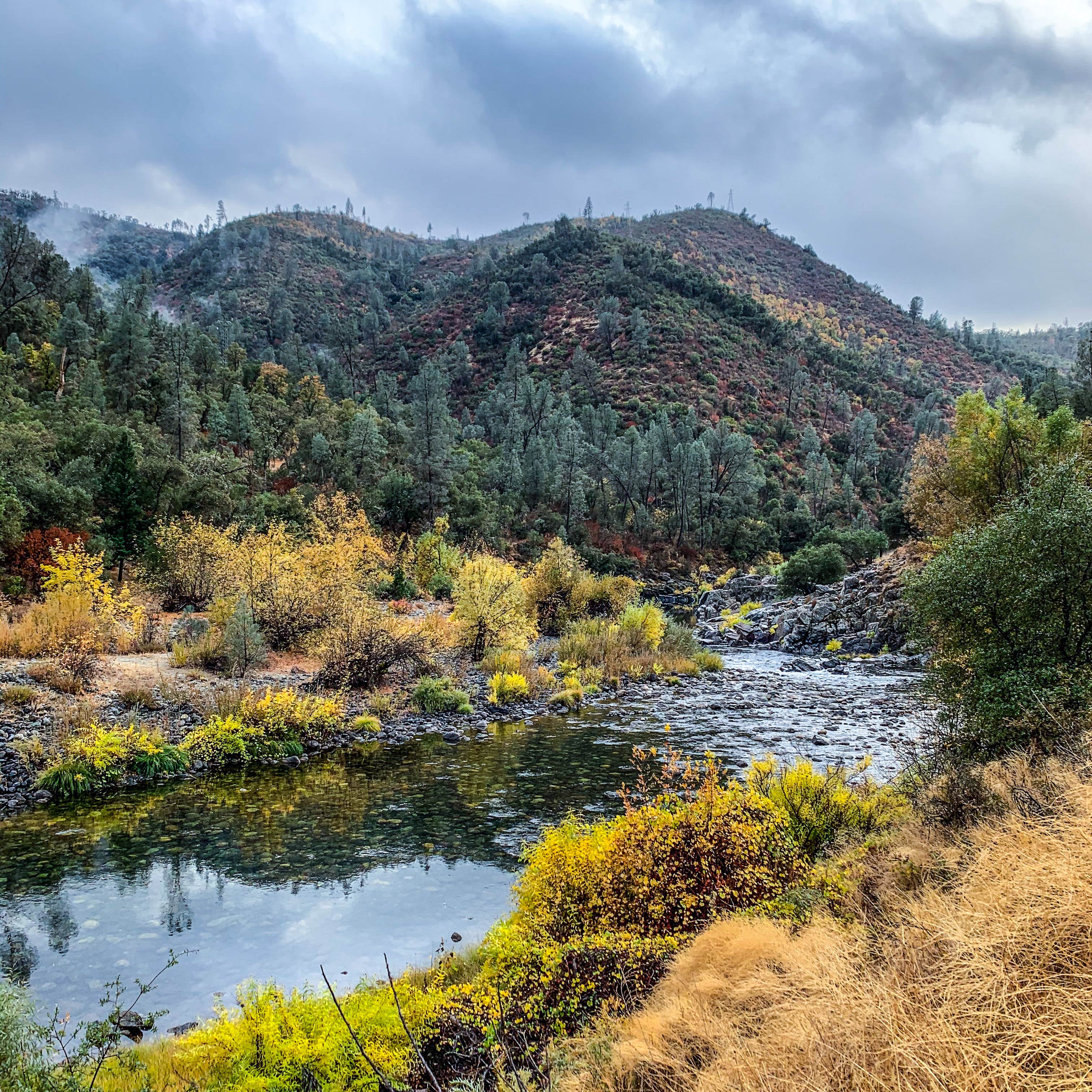 Camper submitted image from McCabe Flat Campground - 3