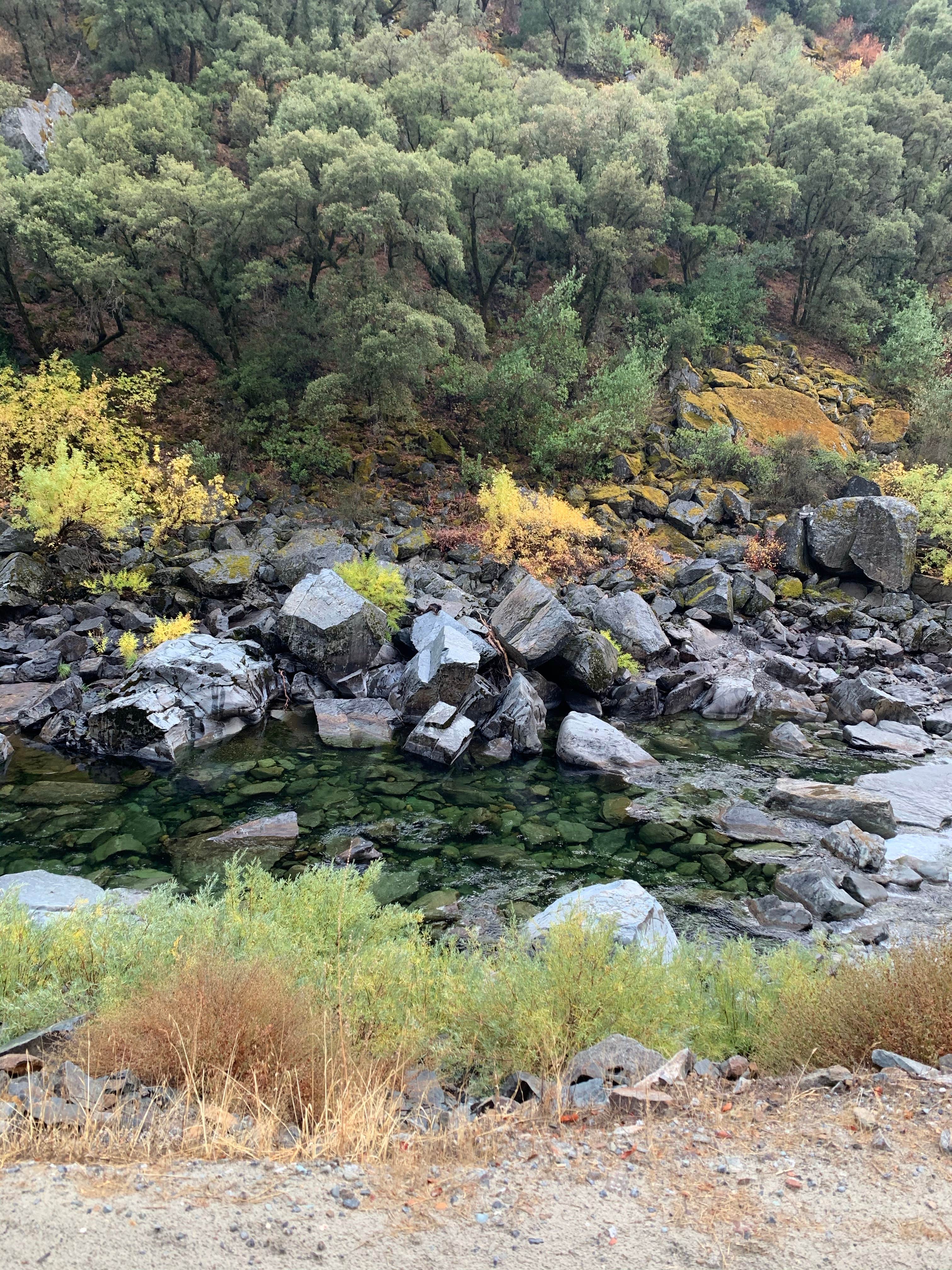 Camper-submitted photo at McCabe Flat Campground near Long Barn, CA