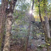 Review photo of Lake Catherine State Park Campground by Jeff P., November 10, 2020