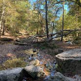 Review photo of Lake Catherine State Park Campground by Jeff P., November 10, 2020