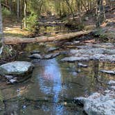 Review photo of Lake Catherine State Park Campground by Jeff P., November 10, 2020